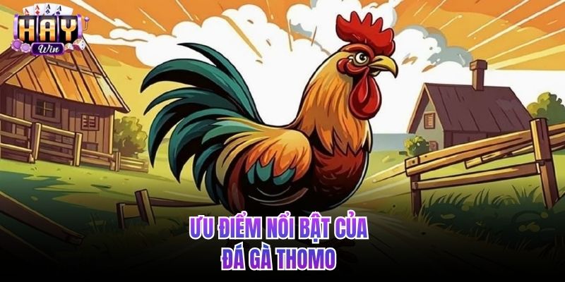 Ưu điểm nổi bật của đá gà Thomo